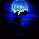 Bleu Morning