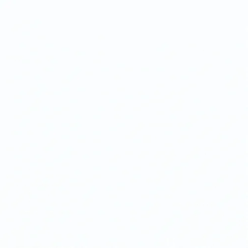 Blind Photographer in Bali