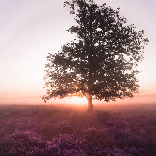 Blissful Lights - NHbvGHh7Qs - old