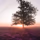 Blissful Lights - NHbvGHh7Qs - old