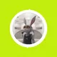 BlockChainBunny