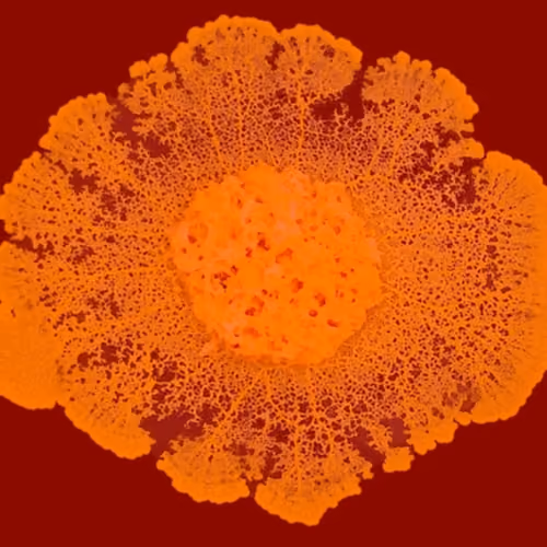 BlobTheMold