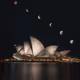 Sydney Collection