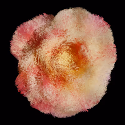 Blooming - videoart