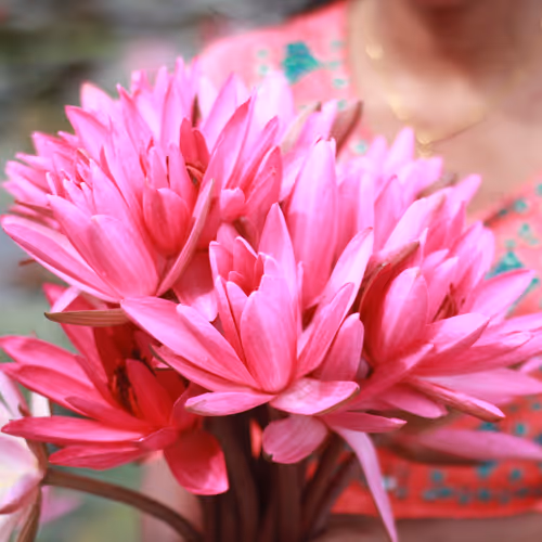 bloom in grace - old V2