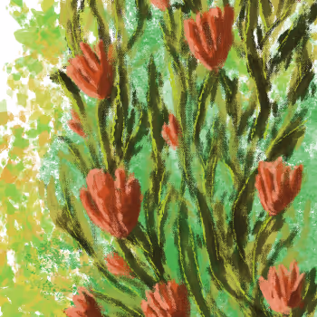 Bloomy Flowers