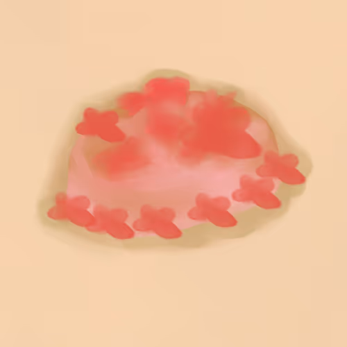 Blossom Cloud Cake