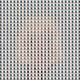 Blotter Pacs
