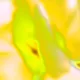 Blozoom