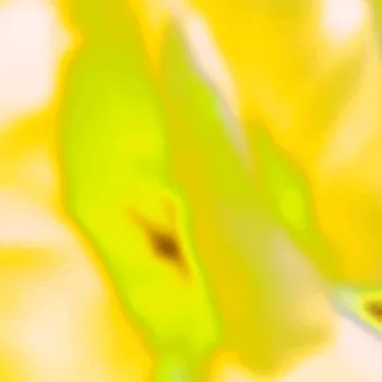 Blozoom