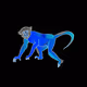 Blue monkey Black background