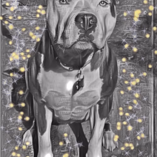 Blue Nose Pitbull nft