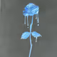 Blue Rose