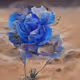 Blue Roses in the desert