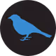 BlueBirds Collection
