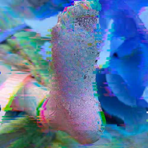 Blue Foot Collection