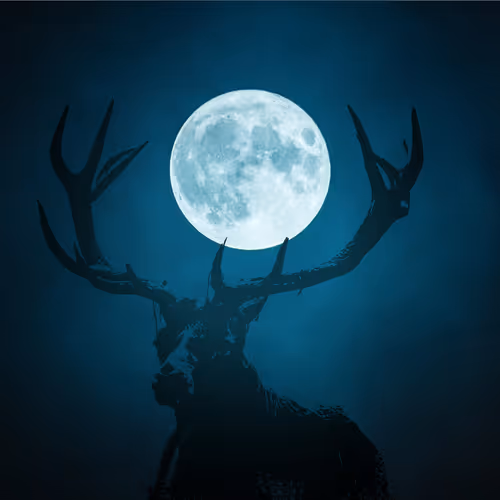 BLUE MOON SILHOUTTE
