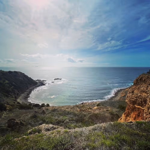 Bluff Cove, Los Angeles