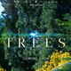 BMEP: Trees (A Planetary Treasure)