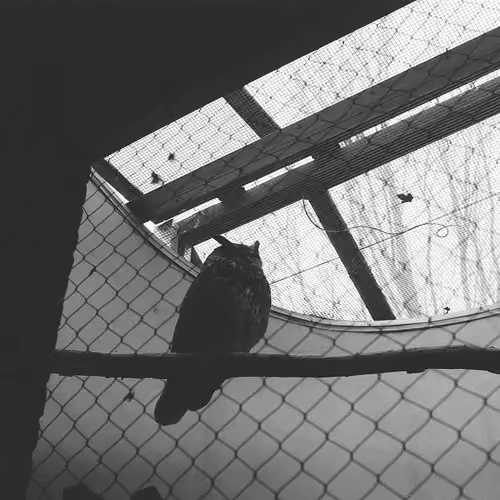 Black and White Film Collection 1 - old