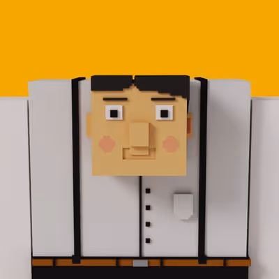 Bob Voxel Avatar