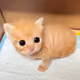 5438