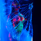 Bodyart Collection