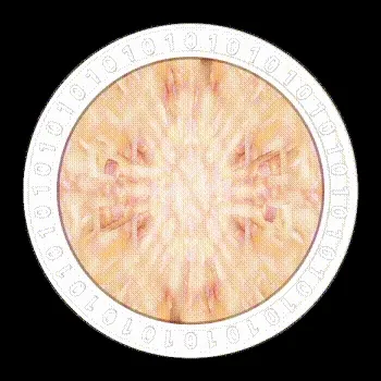 Virtual Body Lab : Body-Coin