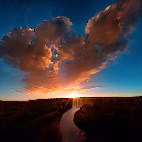 Bollar's natural collection