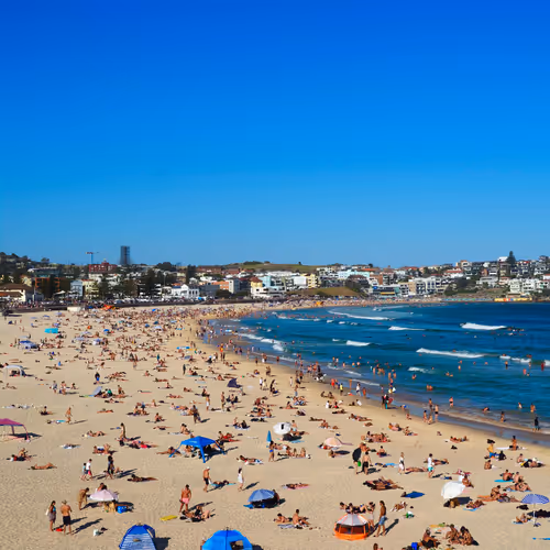 Bondi Vibes