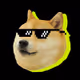 BONKED DOGS