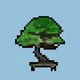 Bonsai_Collection - old