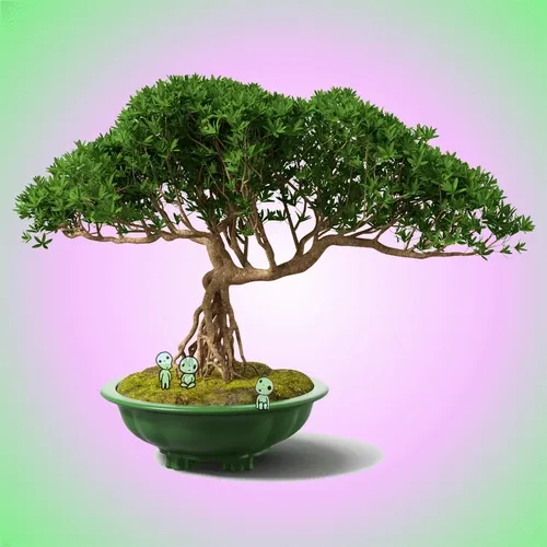 bonsai et friends