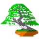BONSAI-art