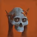 Sam Spratt Skulls of Luci