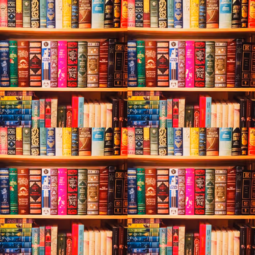 book case (Stephanie Dillon) - old