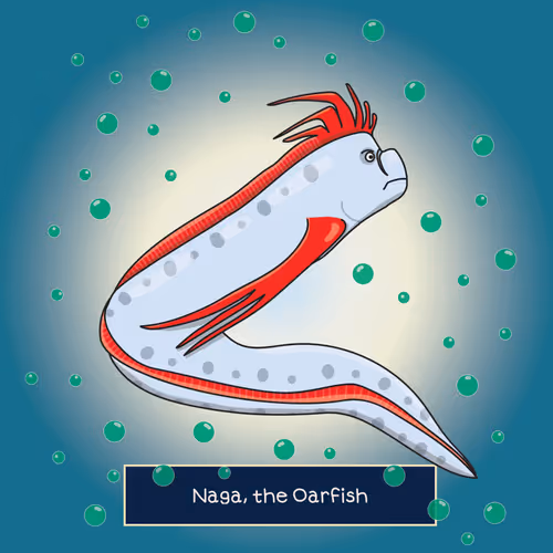 Book of Octomint Characters