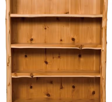 Bookcase of Hoarding