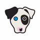 Border Collie Friends