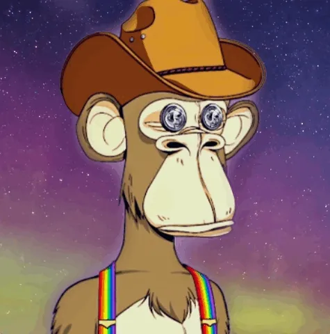 Bored Ape Adventures