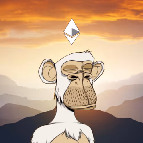 Bored Ape Crypto Meditation