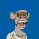 BORED APE YACHT CLUB REMIX