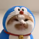 Bored Cat Yacht Club