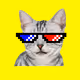 Bored Punky Cat