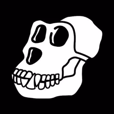 Bored Ape : Art