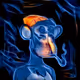 Bored Ape Avatars