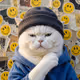 BoredCats