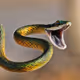 Bored Snakes Jungle Club