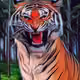 BoredTigerPunk