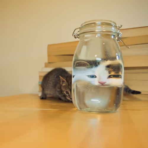 Boring Photograph's - old